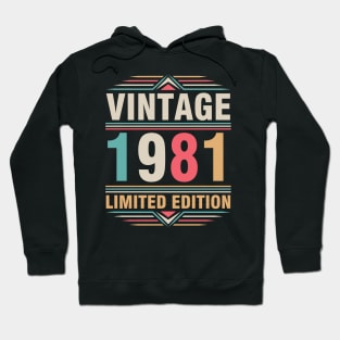 Vintage 1981 Ltd Edition Happy Birthday 41 Years Old Me You Hoodie